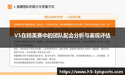 V5在精英赛中的团队配合分析与表现评估